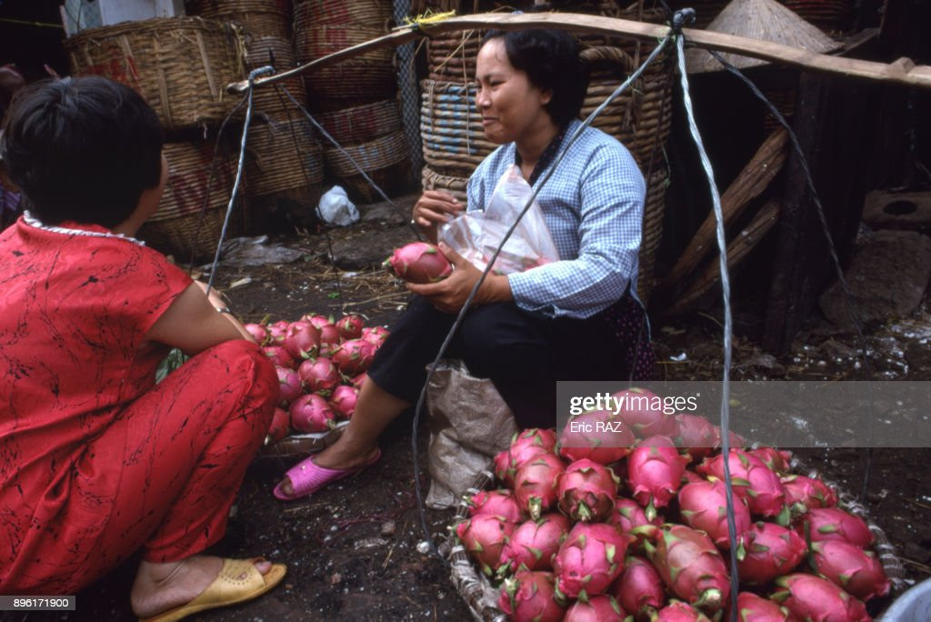 Người phụ nữ bán trái thanh long trên đường phố ở TP. HCM.
