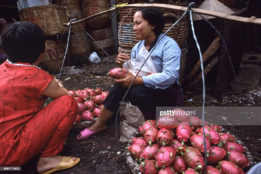 Người phụ nữ bán trái thanh long trên đường phố ở TP. HCM.