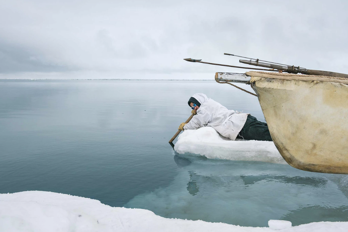 Ảnh chụp tại Mỹ, 2016 Thợ săn Larry Lucas Kaleak đang lắng nghe âm thanh của những con hải cẩu và cá voi đầu cong (bowhead whale) bằng cách áp tai vào một mái chèo gỗ và cảm nhận rung động truyền qua mái chèo. Những thợ săn bản địa ở Alaska, Bắc Cực có truyền thống “cắm trại” trên những tảng băng dày trong vài tuần, chờ đợi lũ cá voi di cư. Nhưng khi tình trạng nóng lên toàn cầu làm băng tan nhanh hơn, truyền thống 4.000 năm tuổi của bộ tộc này bị đe dọa.