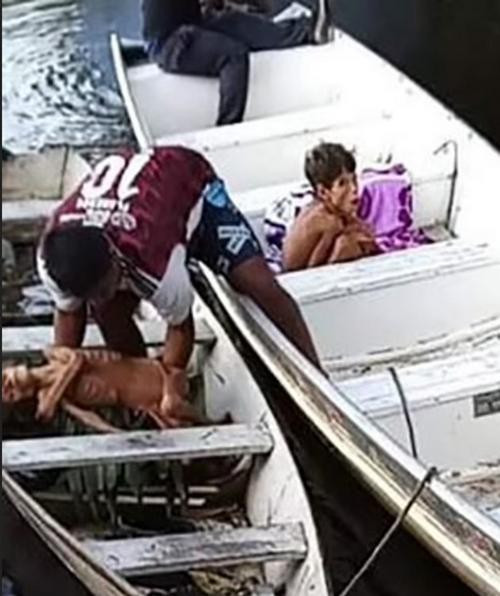 Di lac gan 4 tuan trong rung ram Amazon, hai cau be nay da song sot ky dieu bang cach nao?-Hinh-2