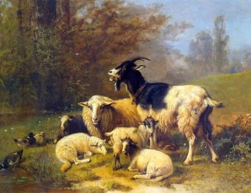 Nua cuoi thang 3, 3 con giap Tam Hop cau may thoa suc thu tien-Hinh-3