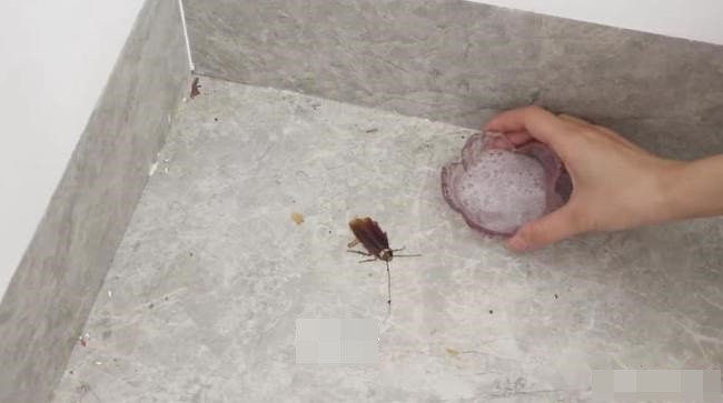 Trộn chút bột giặt với đường, bất ngờ với công dụng tuyệt vời của chúng - Hình 3 Tron chut bot giat voi duong, bat ngo voi cong dung tuyet voi cua chung-Hinh-3