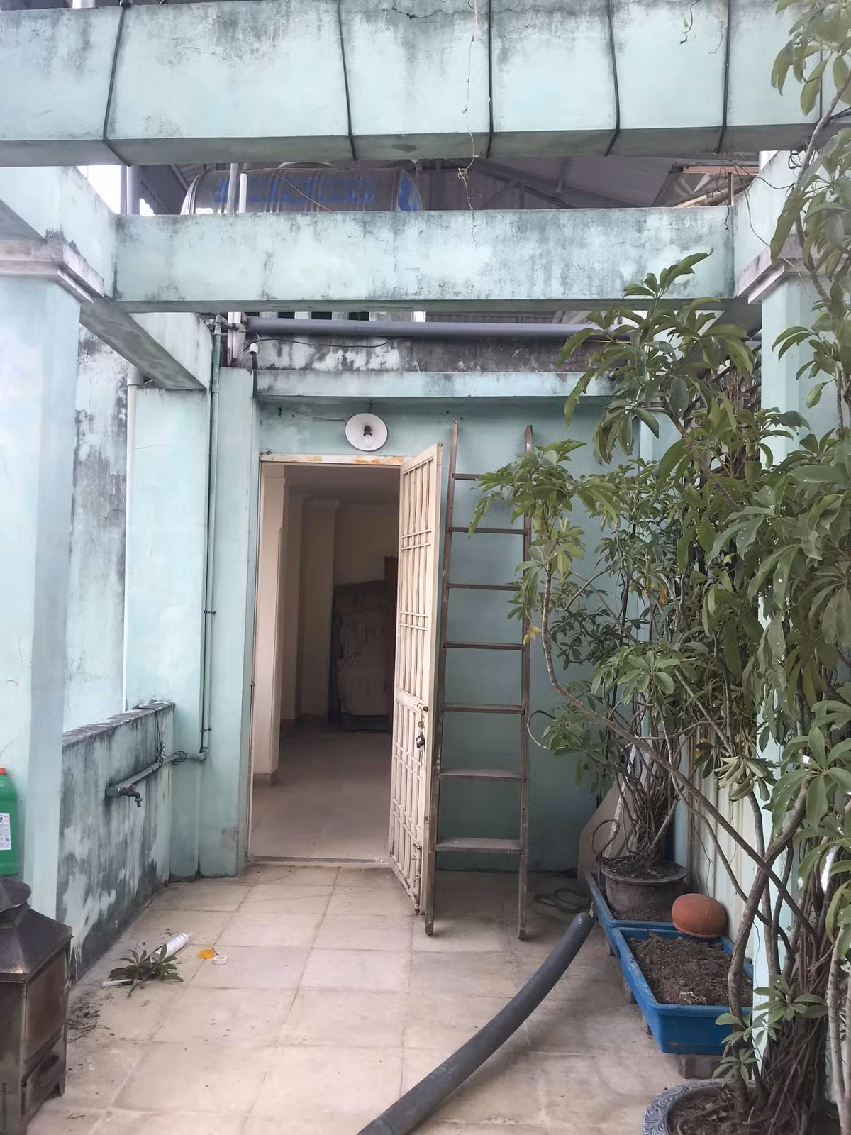 Bien san thuong thanh can penthouse view sieu dinh, ho ca Koi choi voi giua troi