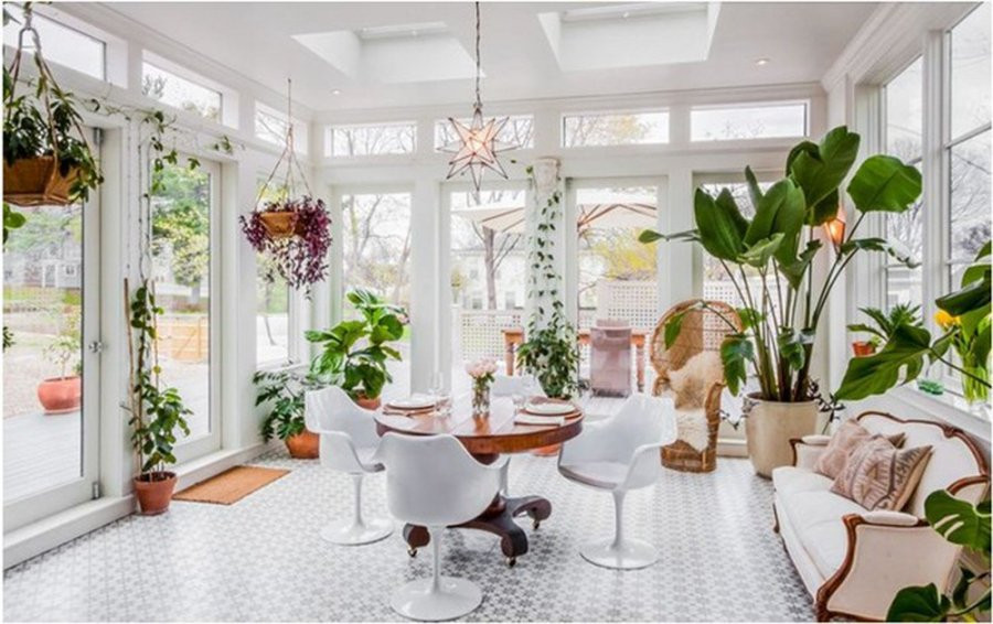 4 nguyên tắc chọn cây cảnh và cách bố trí hợp phong thủy để mang lại may mắn, phúc lộc 4 nguyen tac chon cay canh va cach bo tri hop phong thuy de mang lai may man, phuc loc