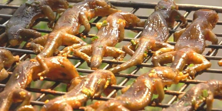 Chuon chuon ran gion, tiet canh ran va nhieu mon Indonesia doc la-Hinh-3