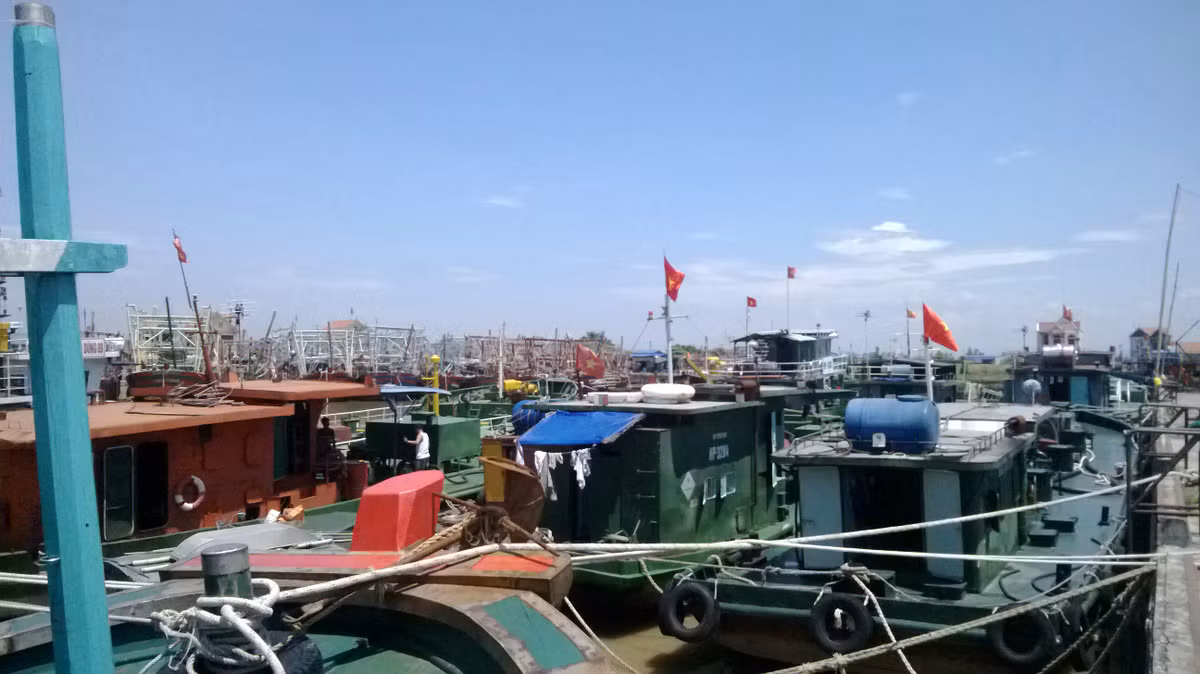 Tại Hải Phòng, công tác chuẩn bị đón bão đã hoàn tất. Các tàu thuyền đã vào nơi neo đậu. Từ trưa 16/9, tất cả 3.894 phương tiện tàu thuyền đã bị cấm hoạt động và kêu gọi vào nơi trú bão an toàn. Bộ Quốc phòng đã điều 5 tàu tìm kiếm cứu nạn sẵn sàng ứng phó tại vùng biển Hải Phòng- Quảng Ninh, trong đó có 4 tàu ứng trực tại vùng biển Hải Phòng. Hơn 13 nghìn dân đã được sơ tán.