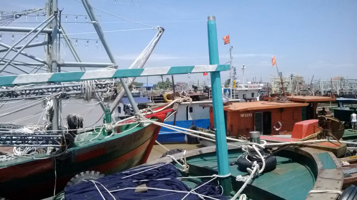 Tàu nọ nối với tàu kia để tránh thiệt hại do bão.