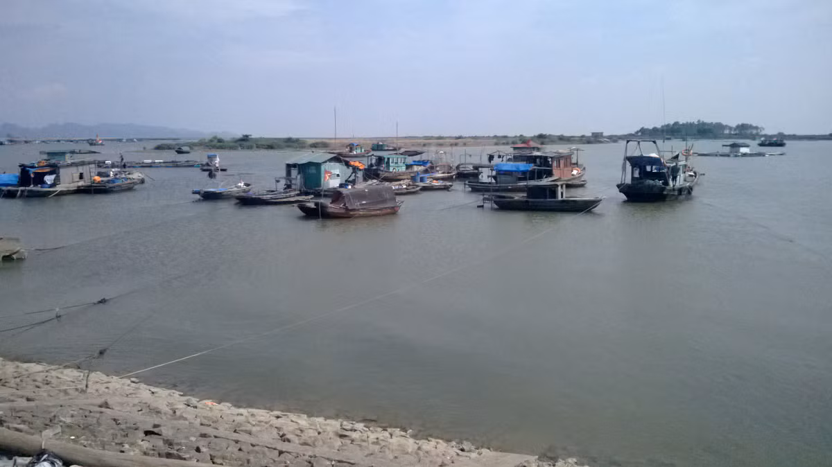 Người dân nuôi bè cá cũng đã di dời tránh bão an toàn.