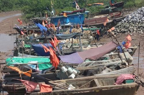 Thuyền tránh bão tại đảo Cát Hải (Hải Phòng).