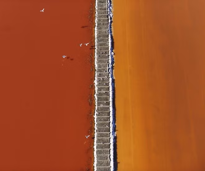 Chim - một bức hình trong loạt ảnh "Salt". Những cánh chim như đang bay lượn giữa hai thế giới.