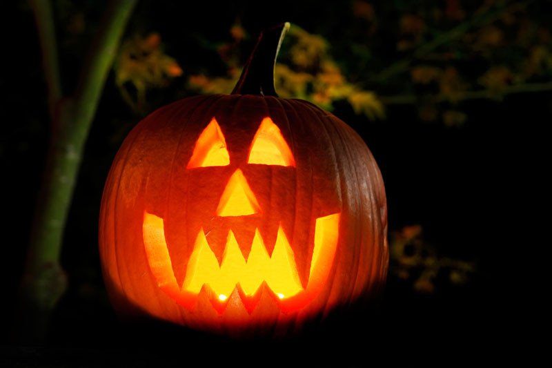 Jack-o'-Lanterns - những quả bí ngô mang khuôn mặt ma quái đầy ám ảnh đã trở thành biểu tượng bất hủ của dịp lễ Halloween, dù trên thực tế, đây không phải một loài yêu mà mà chỉ là cách biến trái bí ngô thành đèn lồng để tưởng nhớ các linh hồn đang chịu tội.