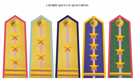 Trong quân đội ta còn có một bộ phận các quân nhân chuyên nghiệp là "quân nhân có trình độ chuyên môn, kỹ thuật cần thiết cho công tác chỉ huy, chiến đấu, bảo đảm chiến đấu, xây dựng quân đội và tình nguyện phục vụ lâu dài trong quân đội”. Quân hàm của quân nhân chuyên nghiệp có một gạch dọc ở giữa quân hàm để phân biệt còn về sao và gạch thì tương tự như quân hàm bình thường.