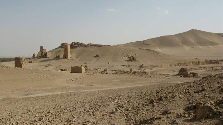 Sa mạc Syria, trải rộng ở Syria, Jordan, Saudi Arabia. Đây là sa mạc kết hợp giữa những đồng cỏ bằng phẳng và sa mạc thực sự. Những đồng cỏ được phủ xanh, trong khi phần sa mạc lại thực sự là những vùng cát khô cằn. Cảnh quan của nó còn là những dòng dung nham và các mỏ phosphate, dầu mỏ và khí butane được phát hiện ở đây.