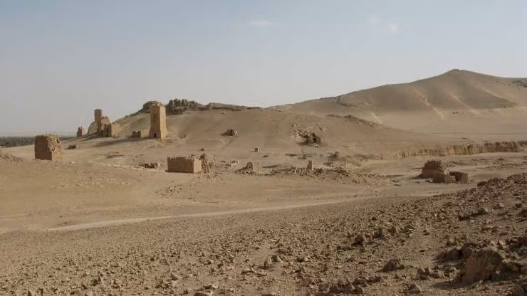 Sa mạc Syria, trải rộng ở Syria, Jordan, Saudi Arabia. Đây là sa mạc kết hợp giữa những đồng cỏ bằng phẳng và sa mạc thực sự. Những đồng cỏ được phủ xanh, trong khi phần sa mạc lại thực sự là những vùng cát khô cằn. Cảnh quan của nó còn là những dòng dung nham và các mỏ phosphate, dầu mỏ và khí butane được phát hiện ở đây.