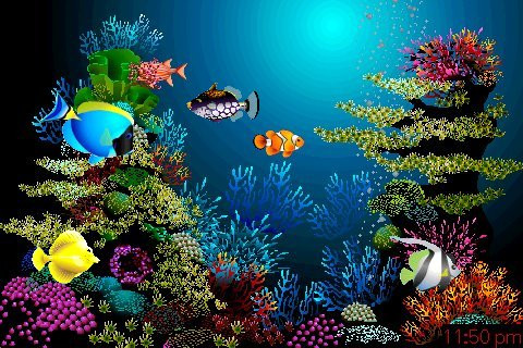 Mơ thấy trong hồ có cá bơi chứng tỏ bạn sắp có nhiều tiền bạc.