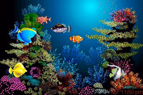 Mơ thấy trong hồ có cá bơi chứng tỏ bạn sắp có nhiều tiền bạc.