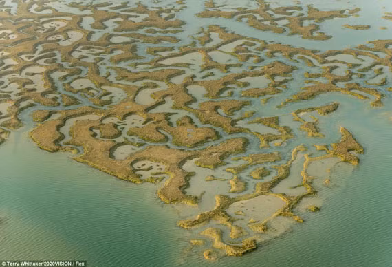 Mơ thấy nước váng bùn thể hiện người mơ đang có những ngờ vực và không nhìn được sự việc một cách rõ ràng.