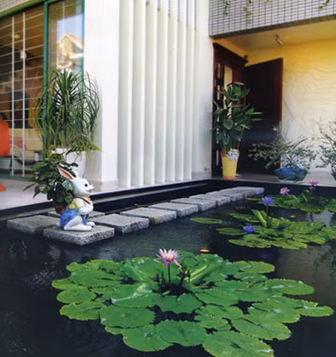 Sử dụng nước: Những thác nước nhân tạo, bể cá thủy sinh, những bức tranh nước sẽ góp phần làm tăng sinh khí cho ngôi nhà. Những thứ đồ trang trí này nên được đặt ở hướng Đông hoặc Đông Nam. Nước chảy sẽ mang đến năng lượng dương cho ngôi nhà bạn.