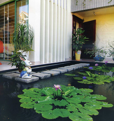 Sử dụng nước: Những thác nước nhân tạo, bể cá thủy sinh, những bức tranh nước sẽ góp phần làm tăng sinh khí cho ngôi nhà. Những thứ đồ trang trí này nên được đặt ở hướng Đông hoặc Đông Nam. Nước chảy sẽ mang đến năng lượng dương cho ngôi nhà bạn.