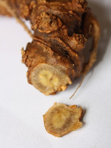 ...sâm Ngọc Linh (Kon Tum)...