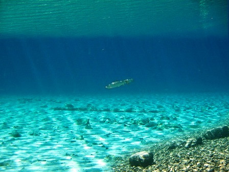 Mơ thấy nước yên tĩnh nhưng sâu thẳm tuy có thể tượng trưng cho sự hồi phục nhưng cũng có thể tạo cảm giác lo lắng, bởi người mơ không thấy rõ những gì đang nằm sâu dưới mặt nước.