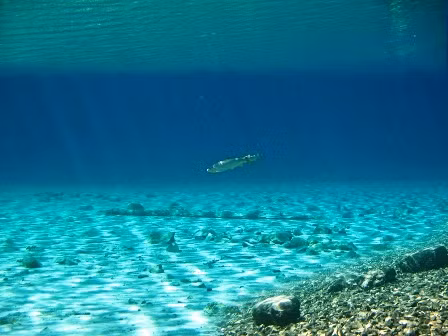 Mơ thấy nước yên tĩnh nhưng sâu thẳm tuy có thể tượng trưng cho sự hồi phục nhưng cũng có thể tạo cảm giác lo lắng, bởi người mơ không thấy rõ những gì đang nằm sâu dưới mặt nước.