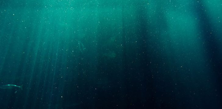 Chúng ta biết nhiều về sao Hỏa và Mặt trăng còn hơn cả những gì chúng ta biết về các đại dương. Chúng ta có bản đồ đầy đủ 100% bề mặt sao Hỏa và Mặt Trăng trong khi chúng ta mới chỉ có thể vẽ được bản đồ của khoảng 5% thềm đại dương.