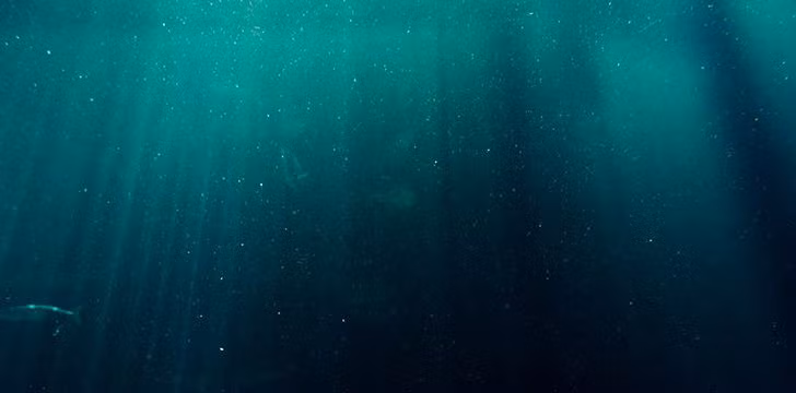 Chúng ta biết nhiều về sao Hỏa và Mặt trăng còn hơn cả những gì chúng ta biết về các đại dương. Chúng ta có bản đồ đầy đủ 100% bề mặt sao Hỏa và Mặt Trăng trong khi chúng ta mới chỉ có thể vẽ được bản đồ của khoảng 5% thềm đại dương.