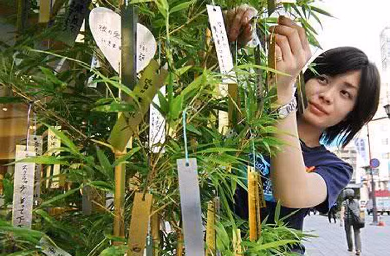 Đối với người dân Nhật Bản, ngày Rằm tháng 7 là dịp họ bày tỏ ước nguyện trước tổ tiên và cầu mong những ước nguyện của mình sẽ trở thành hiện thực. Họ sẽ viết những mong ước ấy lên một tờ giấy rồi treo lên cây trúc.