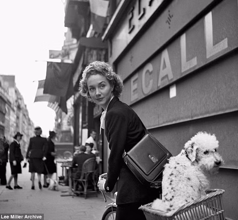 Năm 1944, Lee Miller chuyển đến Paris, Pháp sinh sống và tạo lập sự nghiệp. Tại đây, cô không phải là nhà báo duy nhất đứng trên sân khấu nhưng đã phá vỡ được rào cản giữa thời trang với công việc nhiếp ảnh chiến trường.