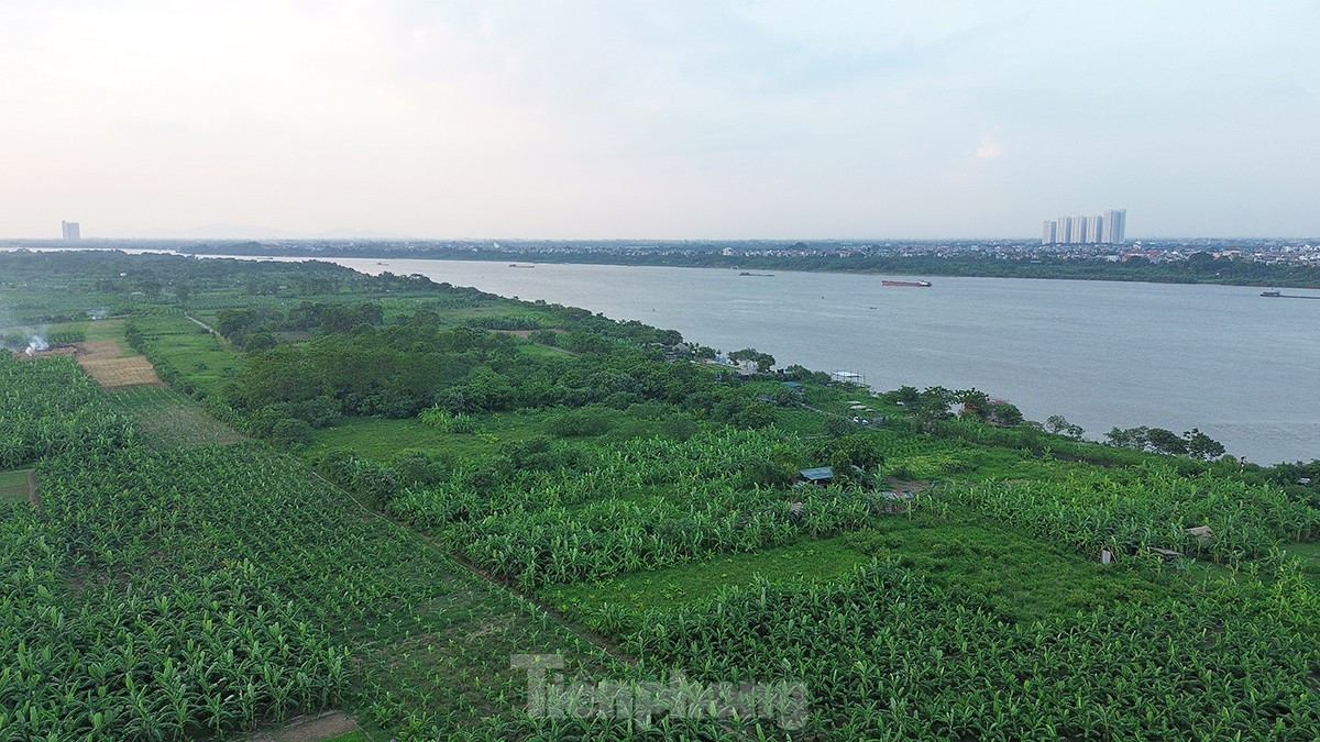 Bãi giữa sông Hồng đã khô cạn hàng chục năm qua, là điểm vui chơi ưa thích của nhiều người dân Hà Nội. Sau một thời gian nhiều khu vực này bị khô cằn, cây cối đã mọc lên tươi tốt, thậm chí nhiều người "nhảy dù" xuống lấy đất trồng hoa màu.