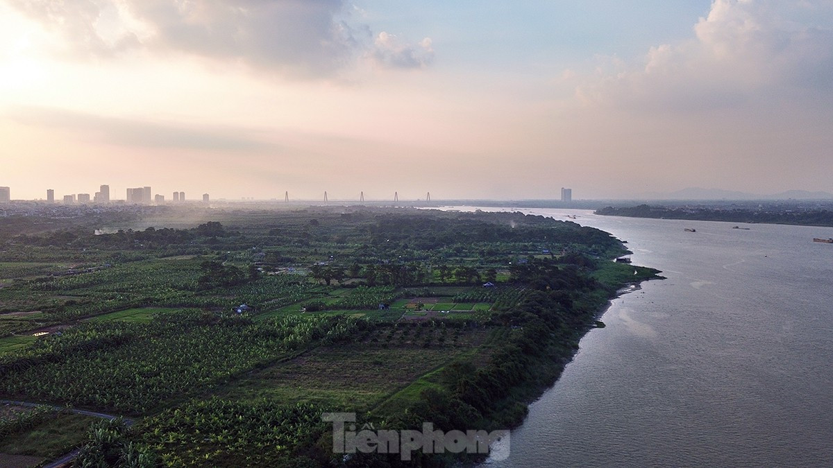 Từ khu vực bãi bồi đoạn cầu Long Biên, nhìn lên phía thượng nguồn là cây cầu Nhật Tân với trụ dây văng ấn hiện trong sương chiều.