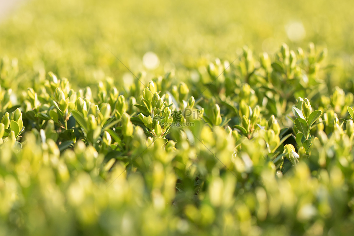 Sinh ngày 13 Âm lịch. Xem bói ngày sinh cho thấy người sinh vào ngày 13 Âm lịch mang số mệnh giàu sang, phú quý, cả đời chẳng thiếu tiền tiêu. Người này giàu nghị lực, có thái độ lạc quan với cuộc sống.