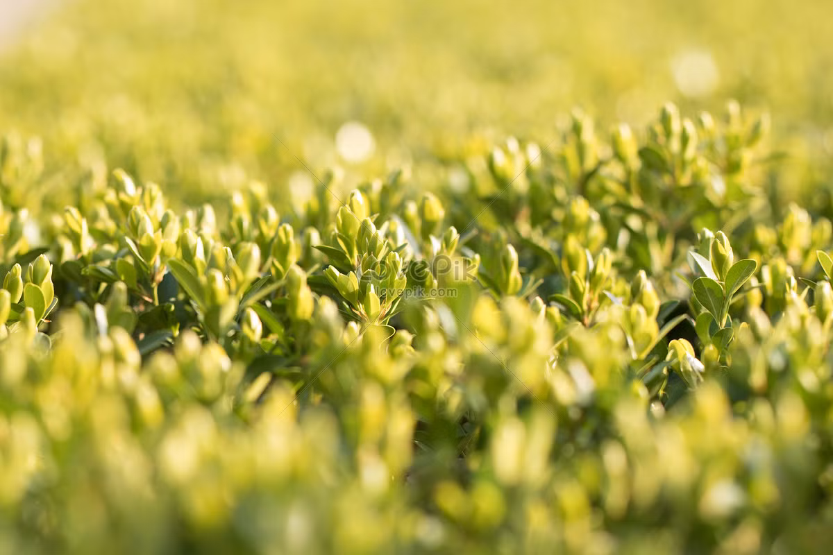 Sinh ngày 13 Âm lịch. Xem bói ngày sinh cho thấy người sinh vào ngày 13 Âm lịch mang số mệnh giàu sang, phú quý, cả đời chẳng thiếu tiền tiêu. Người này giàu nghị lực, có thái độ lạc quan với cuộc sống.