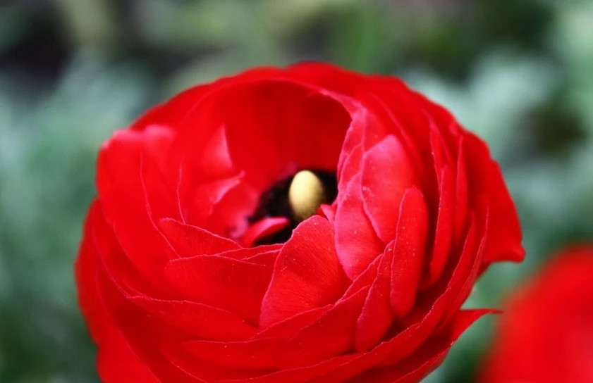 Đến trung tuổi, con đường sự nghiệp của người sinh tháng 6 Âm lịch mới thực sự suôn sẻ. Lúc này, họ được quý nhân đưa đường chỉ lối. Nếu giữ được nhịp độ và sự tập trung trong công việc, họ có thể vươn tới đỉnh cao. Càng về hậu vận, người sinh vào tháng này càng giàu có. Cuộc sống của họ sung túc, thịnh vượng, không âu lo, phiền muộn. 