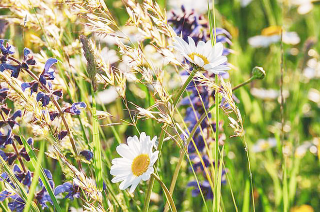 Xuất thân nghèo hèn, khó khăn thiếu thốn nên họ luôn nỗ lực không ngừng để vươn lên, thay đổi hoàn cảnh sống của bản thân.