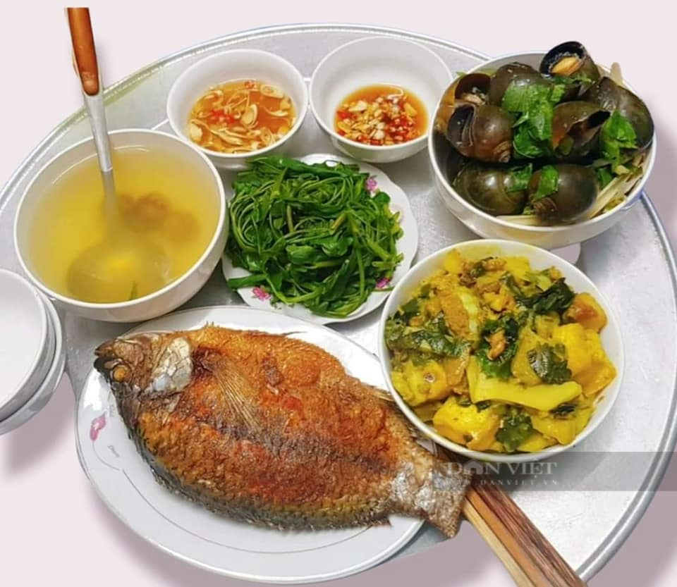 Tuyet chieu ran ca ra dong nguyen con gion rum-Hinh-2