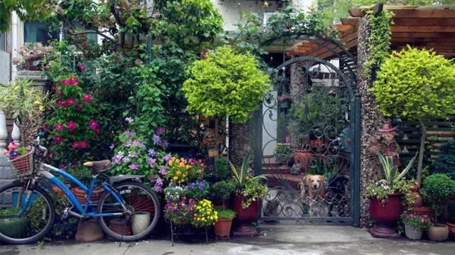 Ngoi nha nho binh yen trong thanh pho lon khien nhieu nguoi tram tro