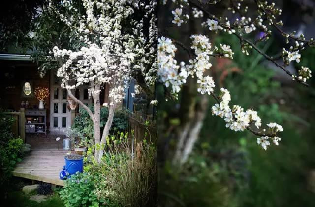 Ngoi nha nho binh yen trong thanh pho lon khien nhieu nguoi tram tro-Hinh-6