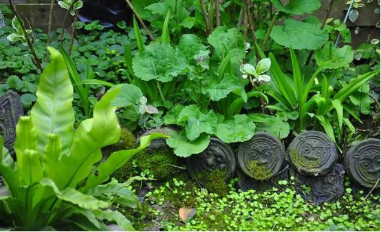 Ngoi nha nho binh yen trong thanh pho lon khien nhieu nguoi tram tro-Hinh-7