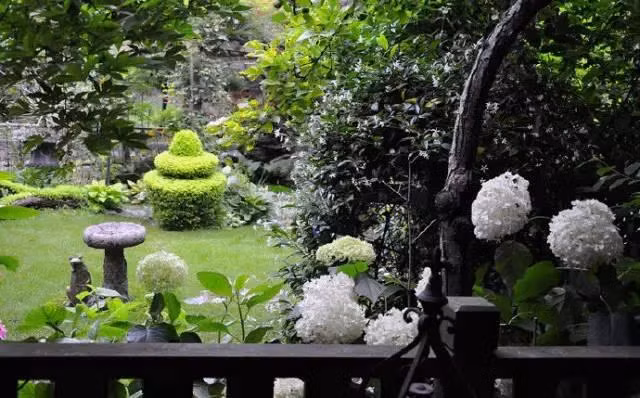 Ngoi nha nho binh yen trong thanh pho lon khien nhieu nguoi tram tro-Hinh-2