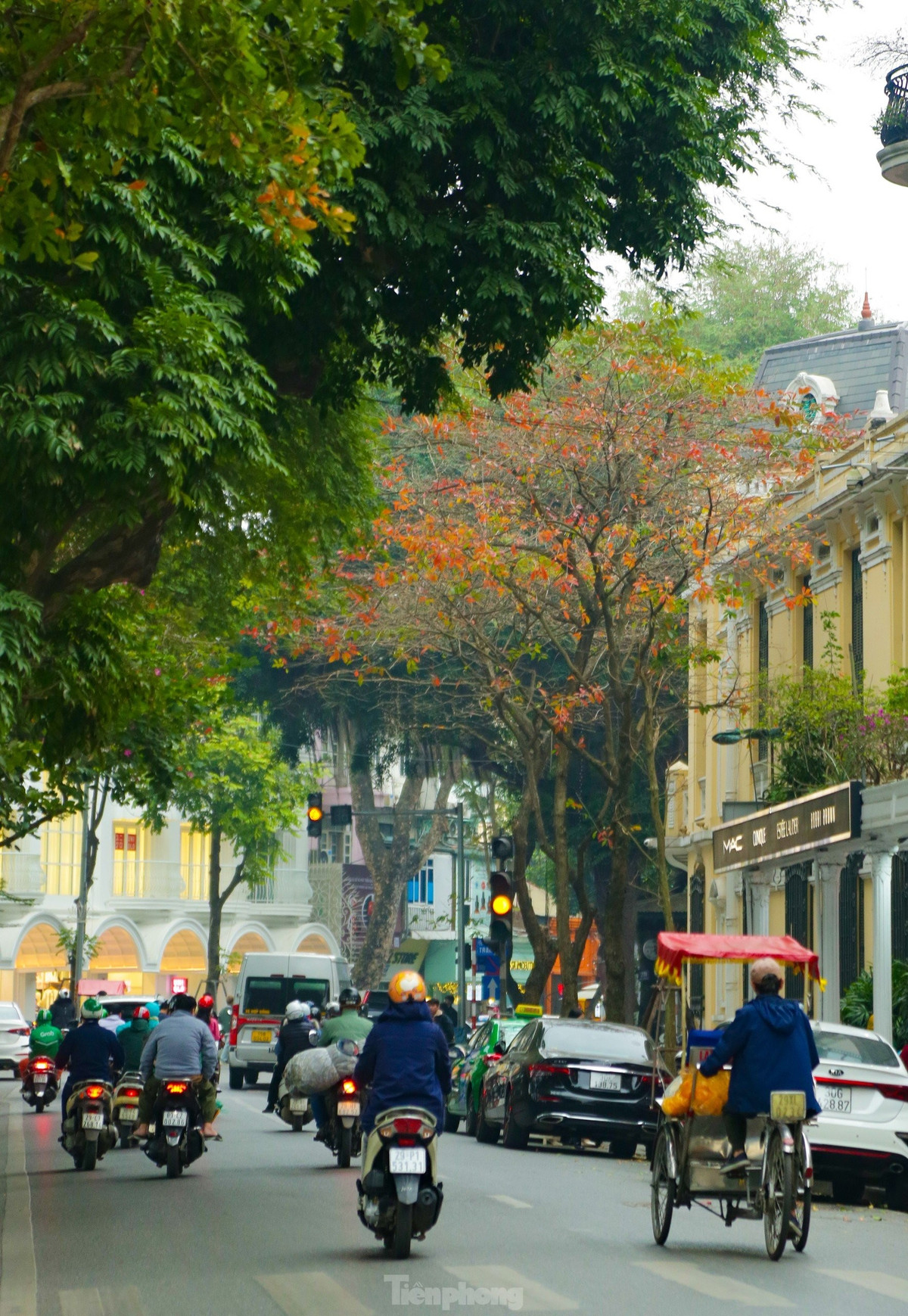 br/> Những góc phố Hà Nội thân quen, cung đường, cây xanh bắt đầu chuyển sắc đỏ, vàng. Người đi đường xuýt xoa, chiêm ngưỡng, rồi không ít lần ngẩn ngơ trước cảnh sắc lãng mãn ấy.
