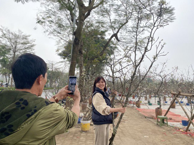 Bên cạnh đó, khu vực dọc đường Lạc Long Quân bán cành lê rừng thu hút rất nhiều người dân đến mua và cũng là nơi check in cho các “nàng thơ” yêu thích hoa rừng. Chị Hoài - khách mua hoa chia sẻ: “Chị mua cành lê rừng vừa phải với giá 600.000, khá phù hợp để bày trong nhà, vì không gian nhà chị không quá rộng nên chị chọn cành vừa phải có đầy đủ hoa, nụ để chơi được lâu”.
