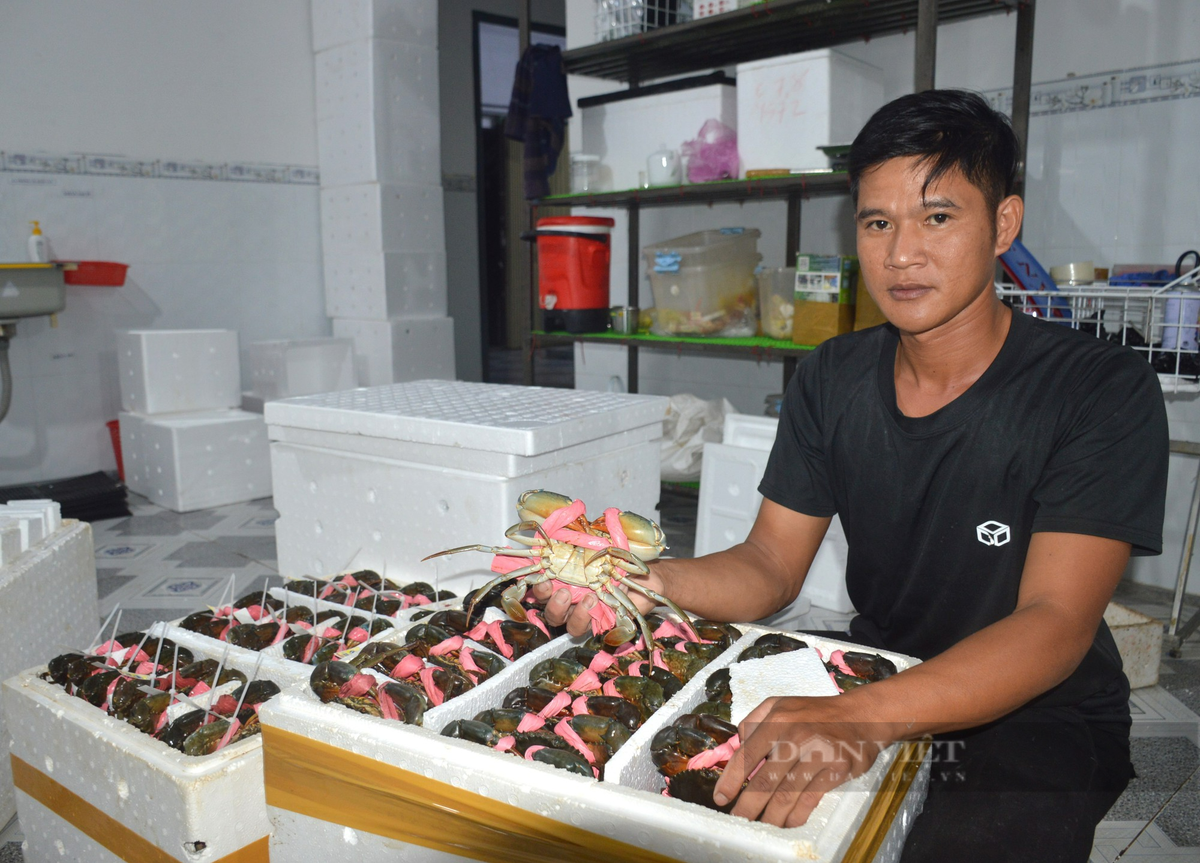 Nghe la dat Mui, ngoi nha troi cua Ca Mau kiem 300.000 dong/ngay-Hinh-2