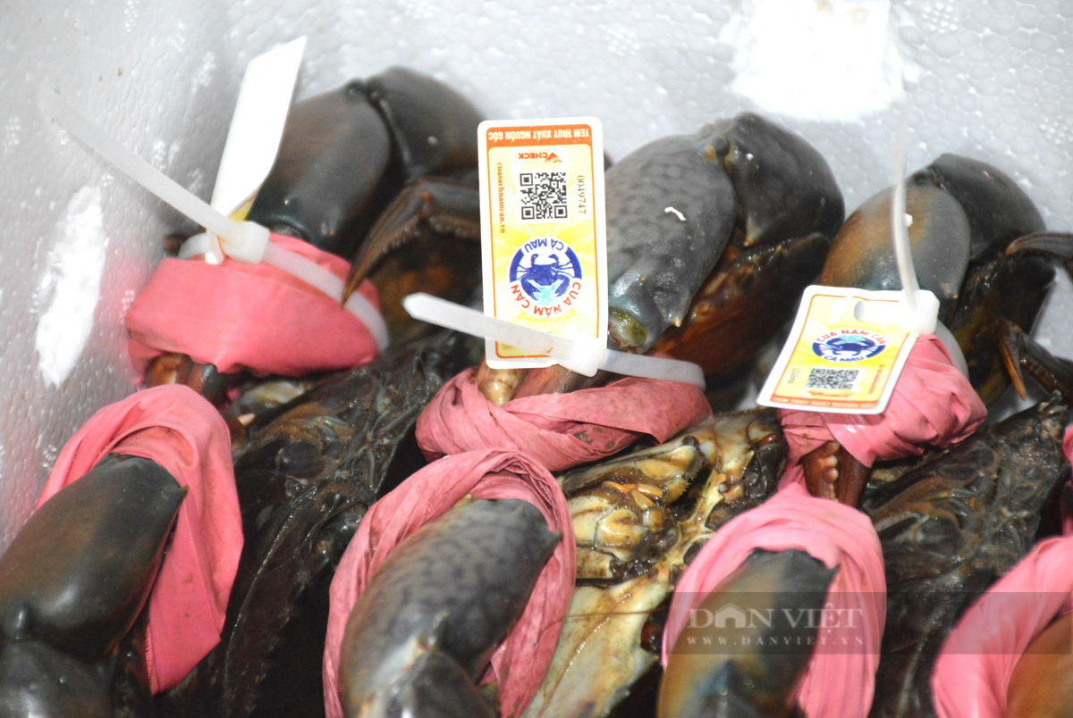 Nghe la dat Mui, ngoi nha troi cua Ca Mau kiem 300.000 dong/ngay-Hinh-3