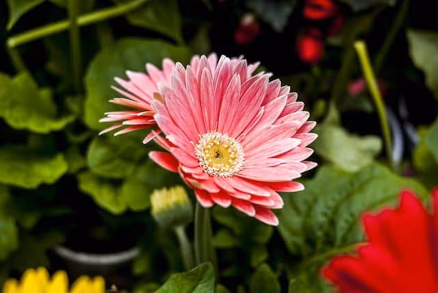 3 con giap can cu bu kha nang, tu con so 0 di len-Hinh-3