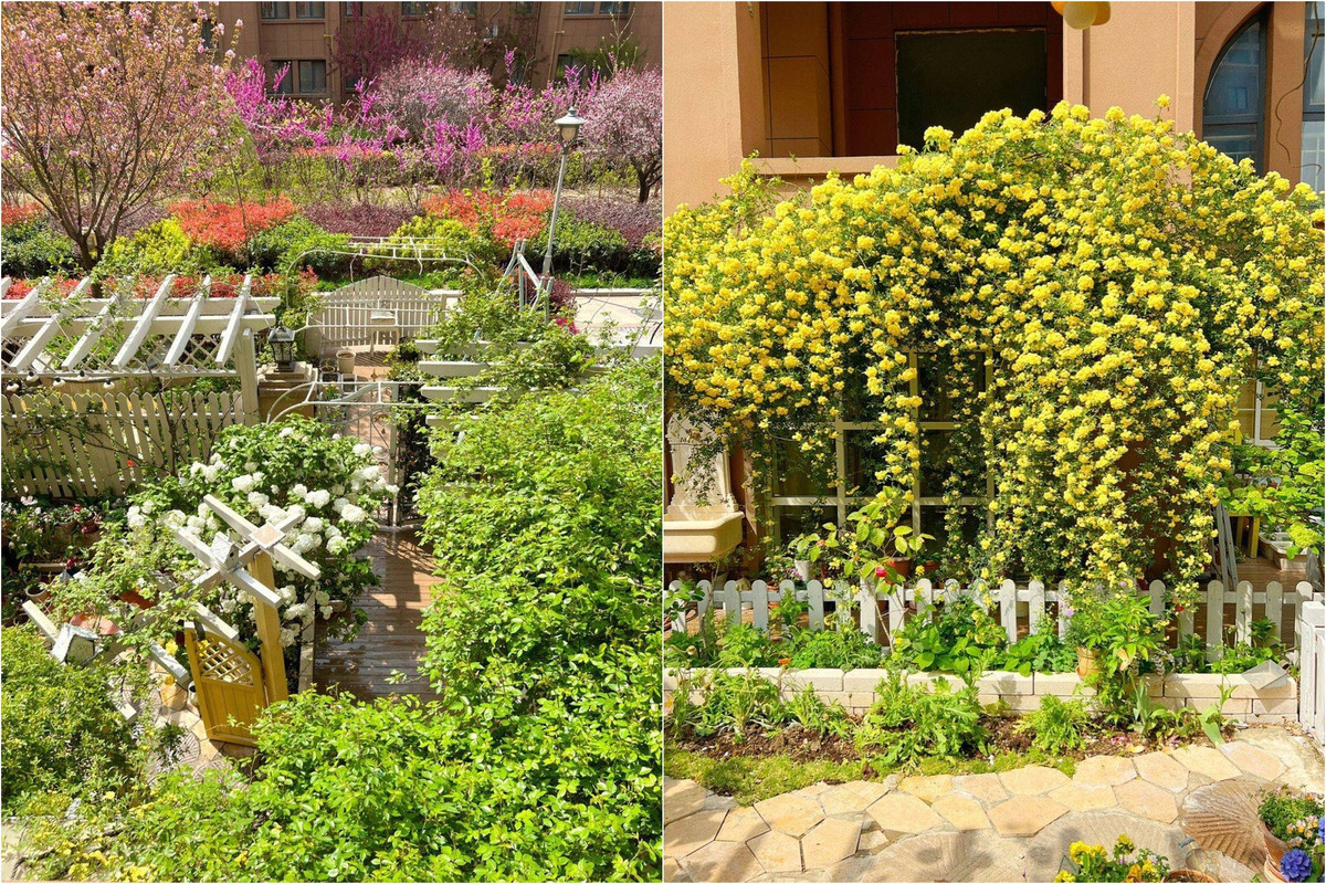 Man nhan truoc khu vuon 4 mua hoa no