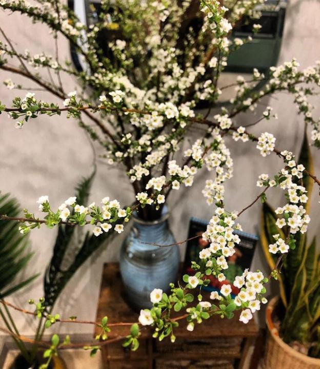 Nhung canh hoa doc la co the ban chua tung nghe ten-Hinh-4