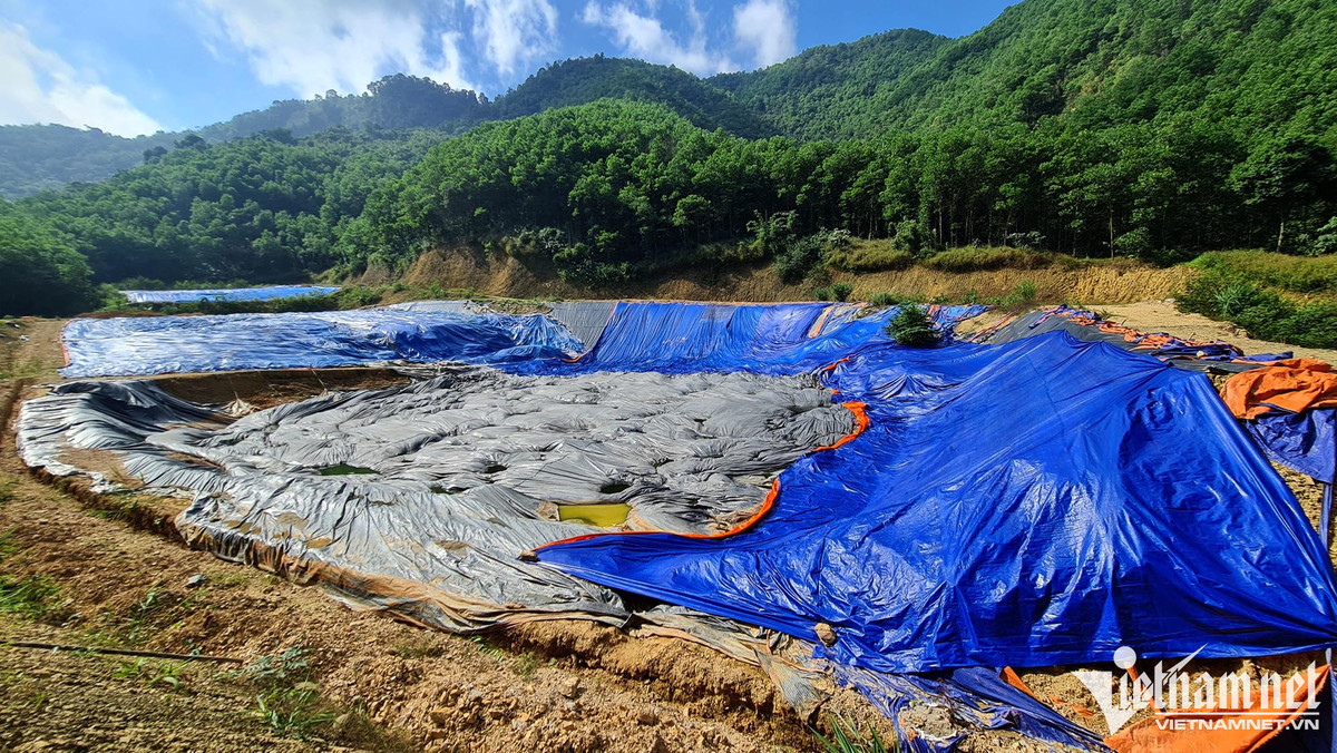 Nghin tan rac do giua rung Hoa Binh da duoc lanh dao tinh dong y-Hinh-3