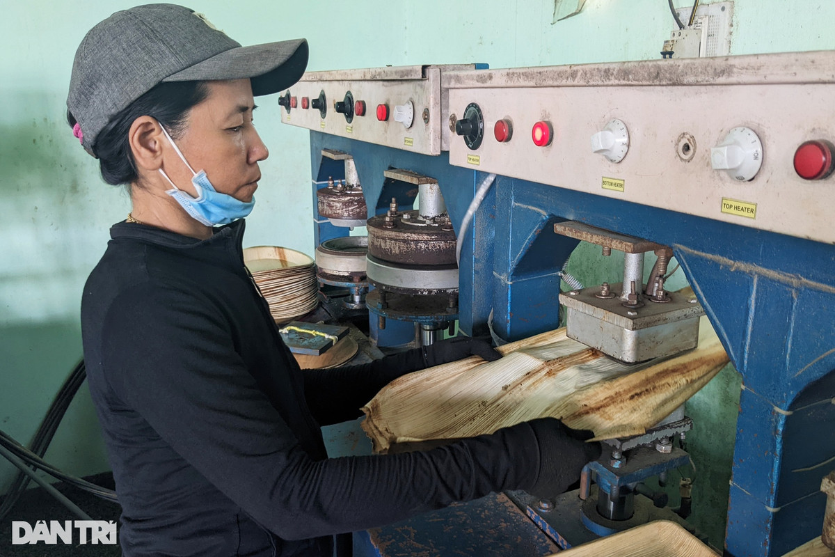 Mo cau được chà rửa sạch, khử khuẩn sau đó đưa vào máy ép tạo hình chén, đĩa, khay đựng thức ăn.